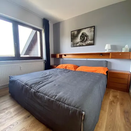 Moderne In Apartment Winterberg